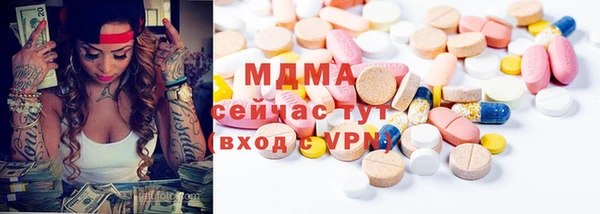 гашик Алексин