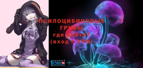 крисы Алзамай