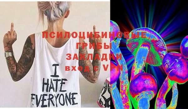 крисы Алзамай