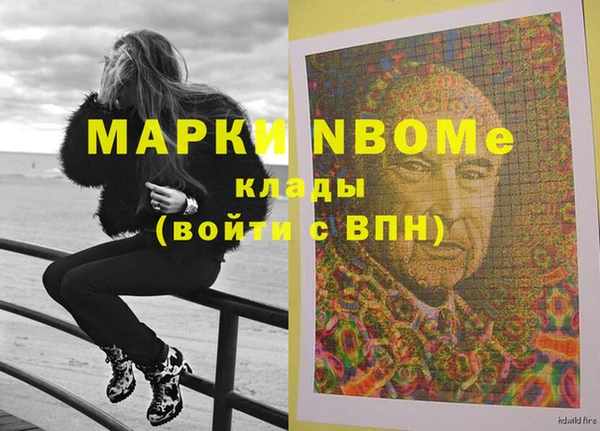 гашик Алексин