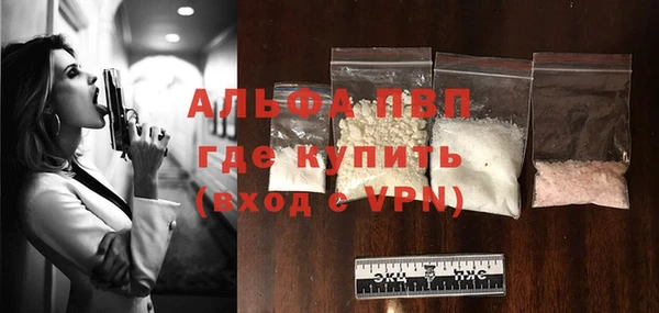 гашик Алексин
