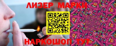 прущие грибы Пушкино