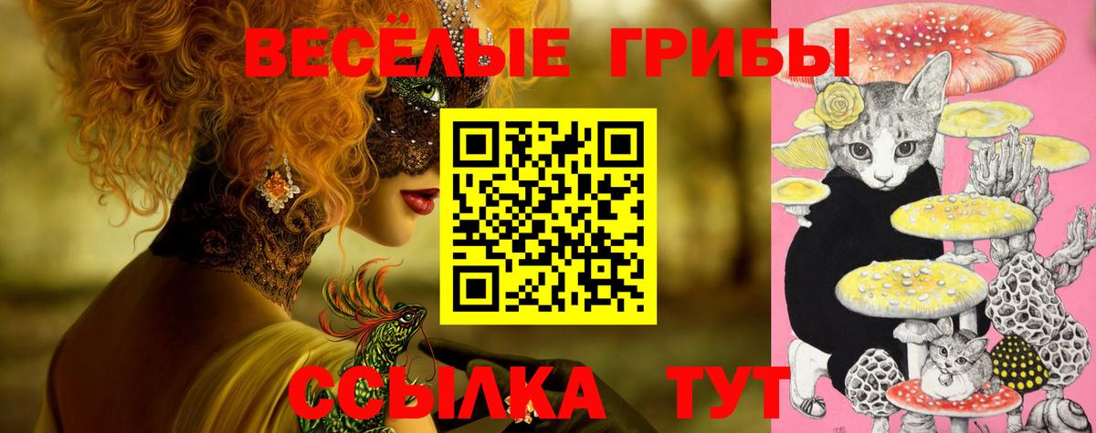 Пенза  Галлюциногенные грибы Magic Shrooms  Галлюциногенные грибы Cubensis  Вход с VPN 